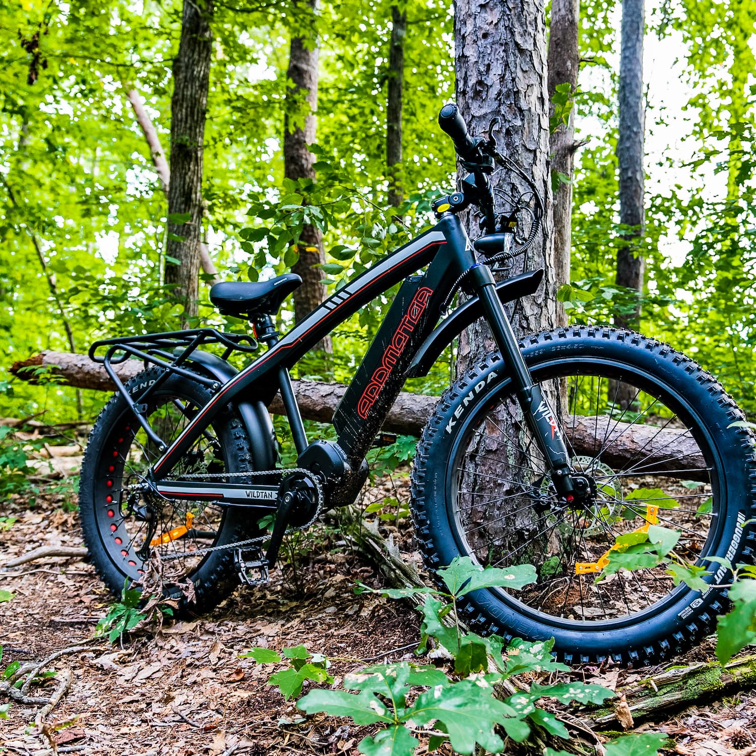 In the Face of California Wildfire: Escaping on an Electric Bike