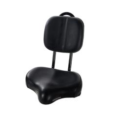Addmotor Saddle with Backrest