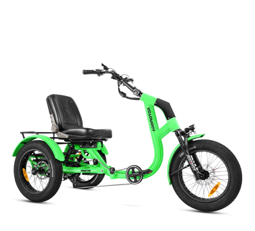 Freetan M-368X Full-Suspension Semi-Recumbent eTrike